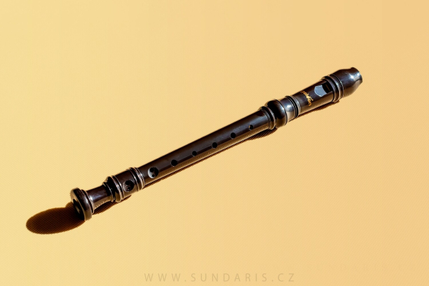 PŘEHRÁVKA * Jana Franková, flétnová třída