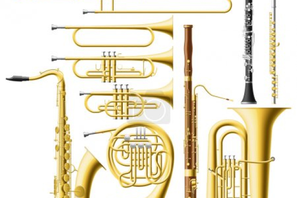 Koncert dechových orchestrů