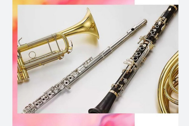 OKRESNÍ KOLO SOUTĚŽE ZUŠ V KOMORNÍ HŘE S PŘEVAHOU DECHOVÝCH NÁSTROJŮ