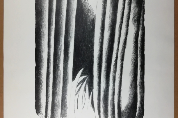 OKRESNÍ KOLO SOUTĚŽNÍ PŘEHLÍDKY DĚTSKÁ SCÉNA